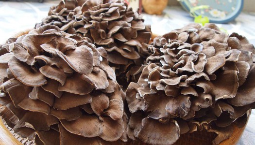 感動を呼ぶ食材