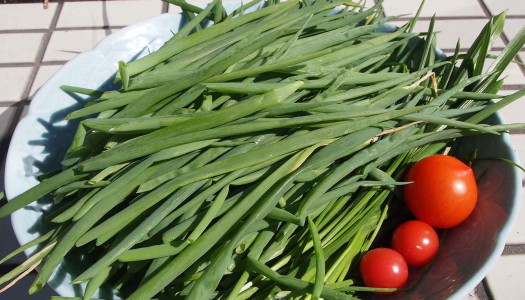 かれこれ２ヶ月 ずいぶんとお世話になってます