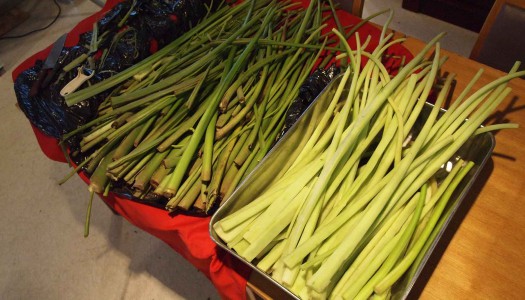 剥いて剥いて、また剥いて