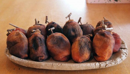 干し柿と年越し蕎麦