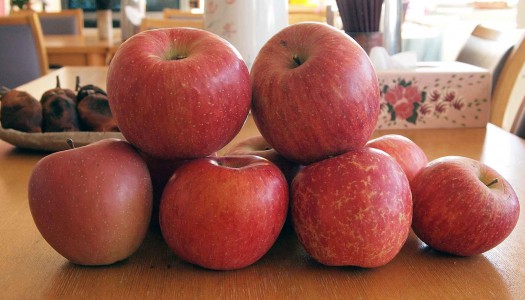 りんごの季節