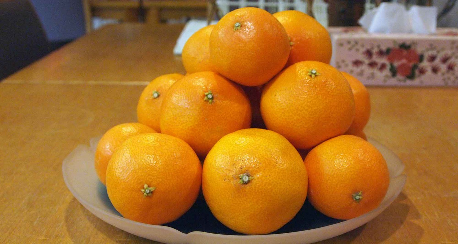 愛媛の紅マドンナ 