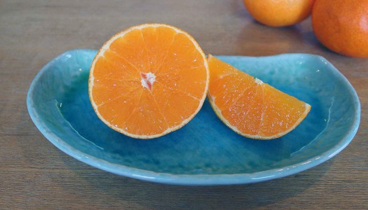 愛媛のブランドみかん・・紅まどんな