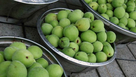 梅酒の梅で★梅ジャム