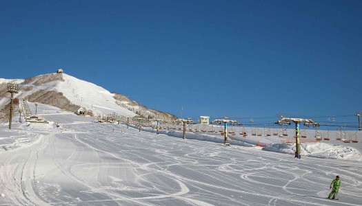 真っ白な雪化粧