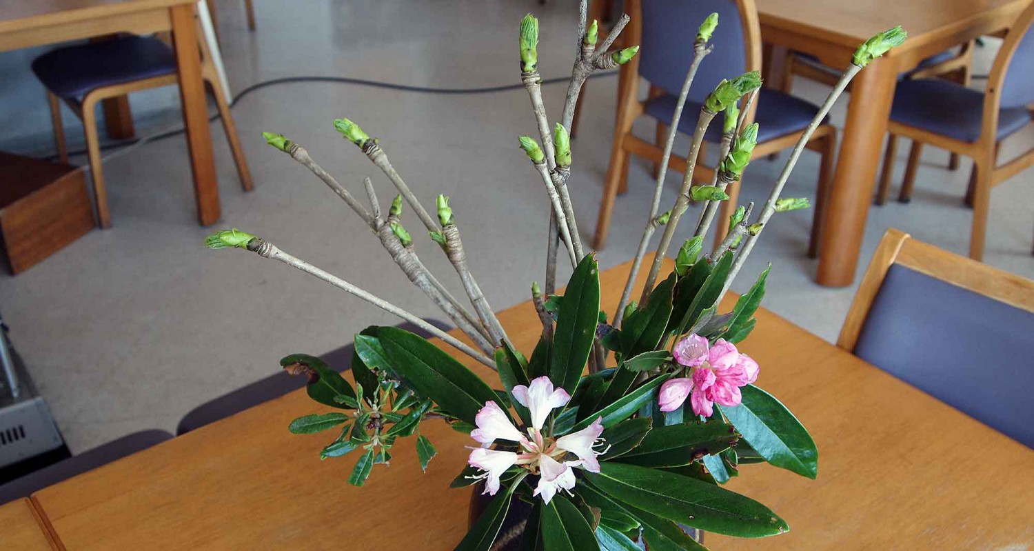 こしあぶら・・もう少し大きくなったら食べます