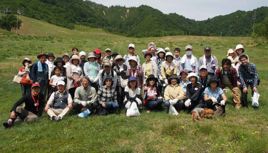 恒例イベント『山菜採り』