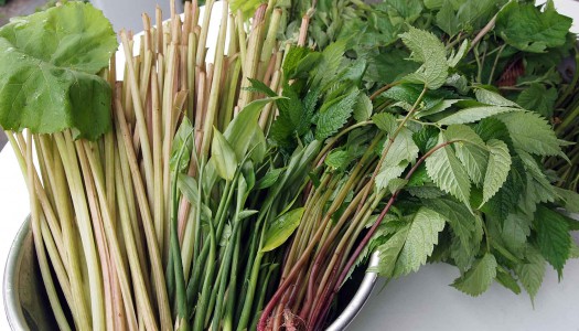 山菜の簡単料理