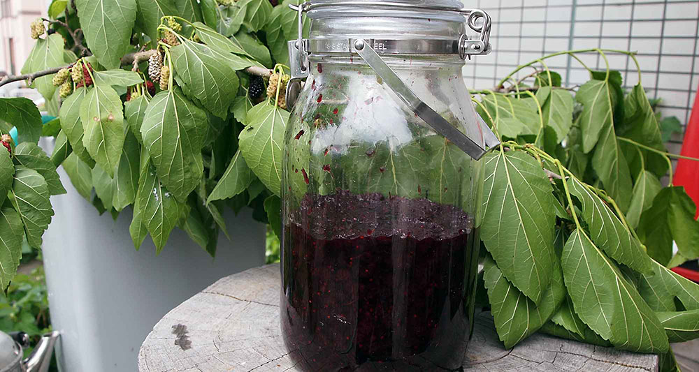 広口瓶に上記マルベリーソースの実の部分を半分ほど入れ