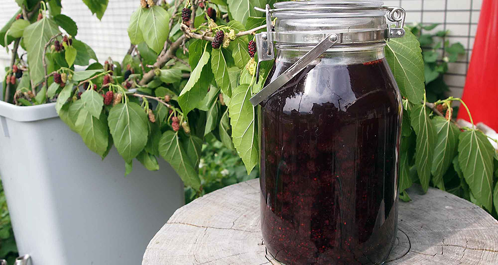 ホワイトリカー35度を同量入れて１日おいたらできあがり