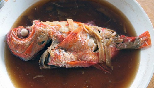 余寒お見舞い申し上げます