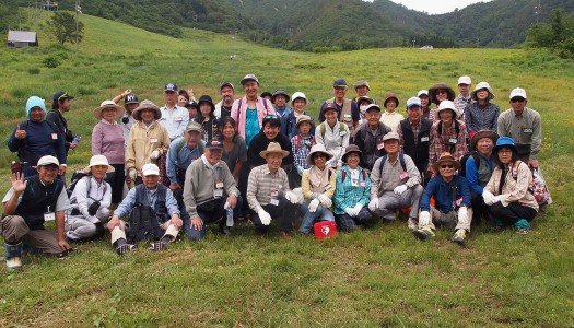 2016山菜採り