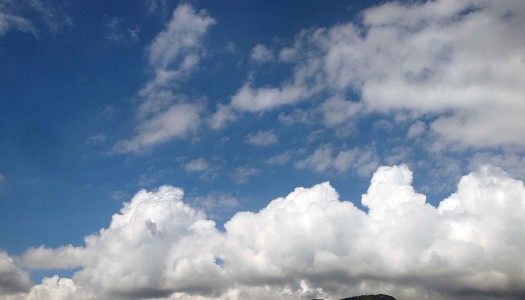 暑中お見舞い申し上げます