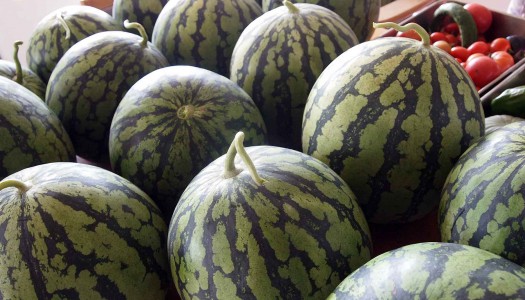 新潟自慢 八色スイカ