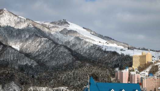 おめでとうございます