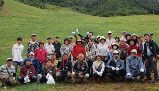 毎年恒例☆山菜採り