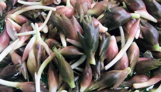 時短営業に関するお知らせ