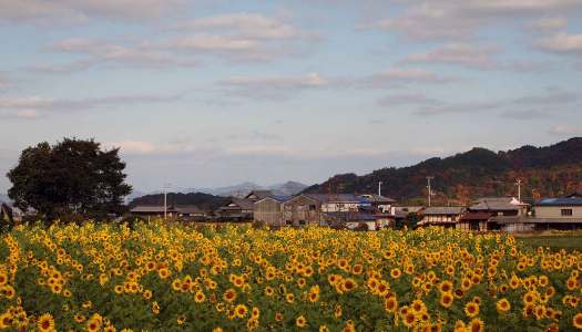 休日の想い出☆その１