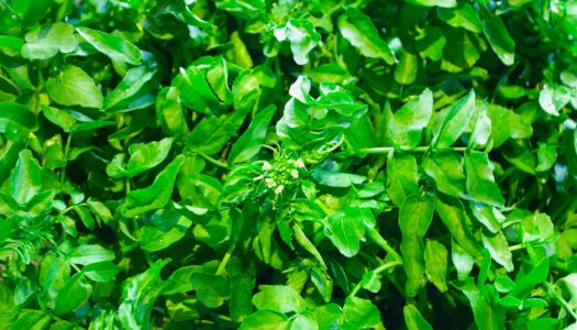 『営業時間変更のご案内』